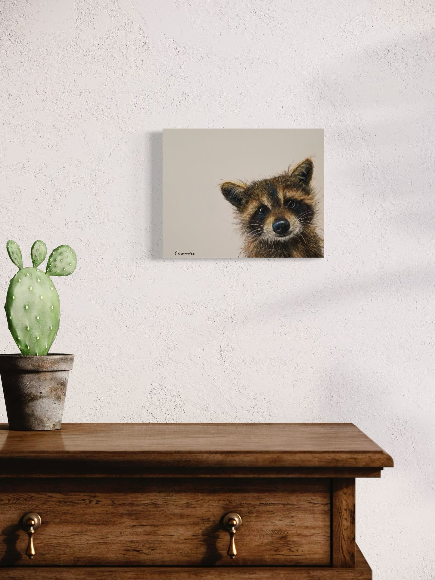 Peekaboo Racoon: Peekaboo Series