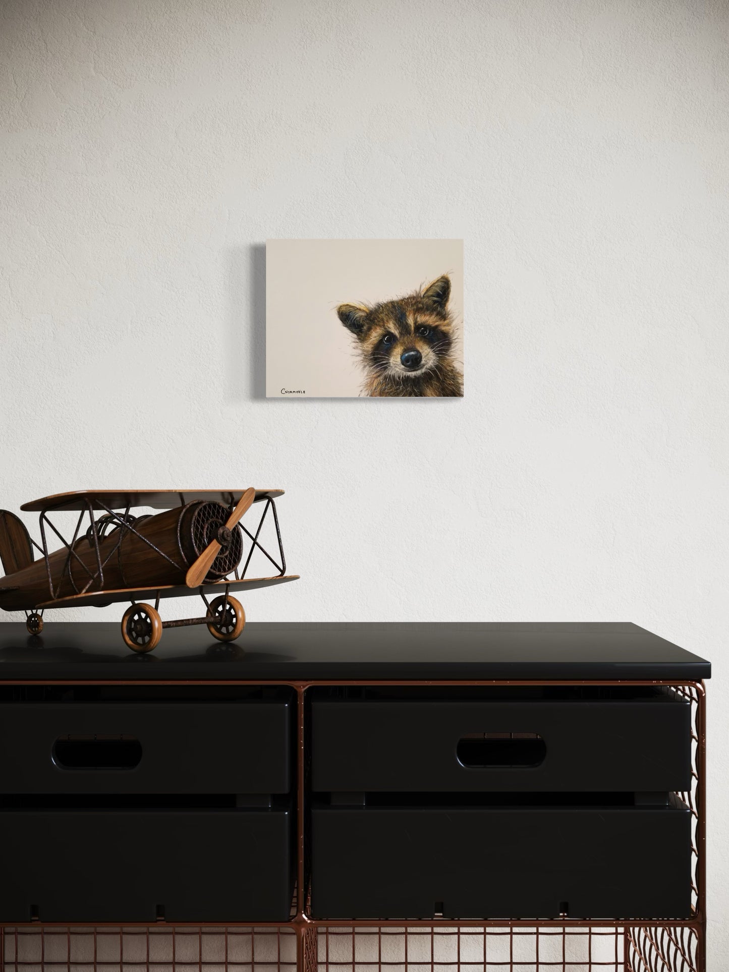 Peekaboo Racoon: Peekaboo Series