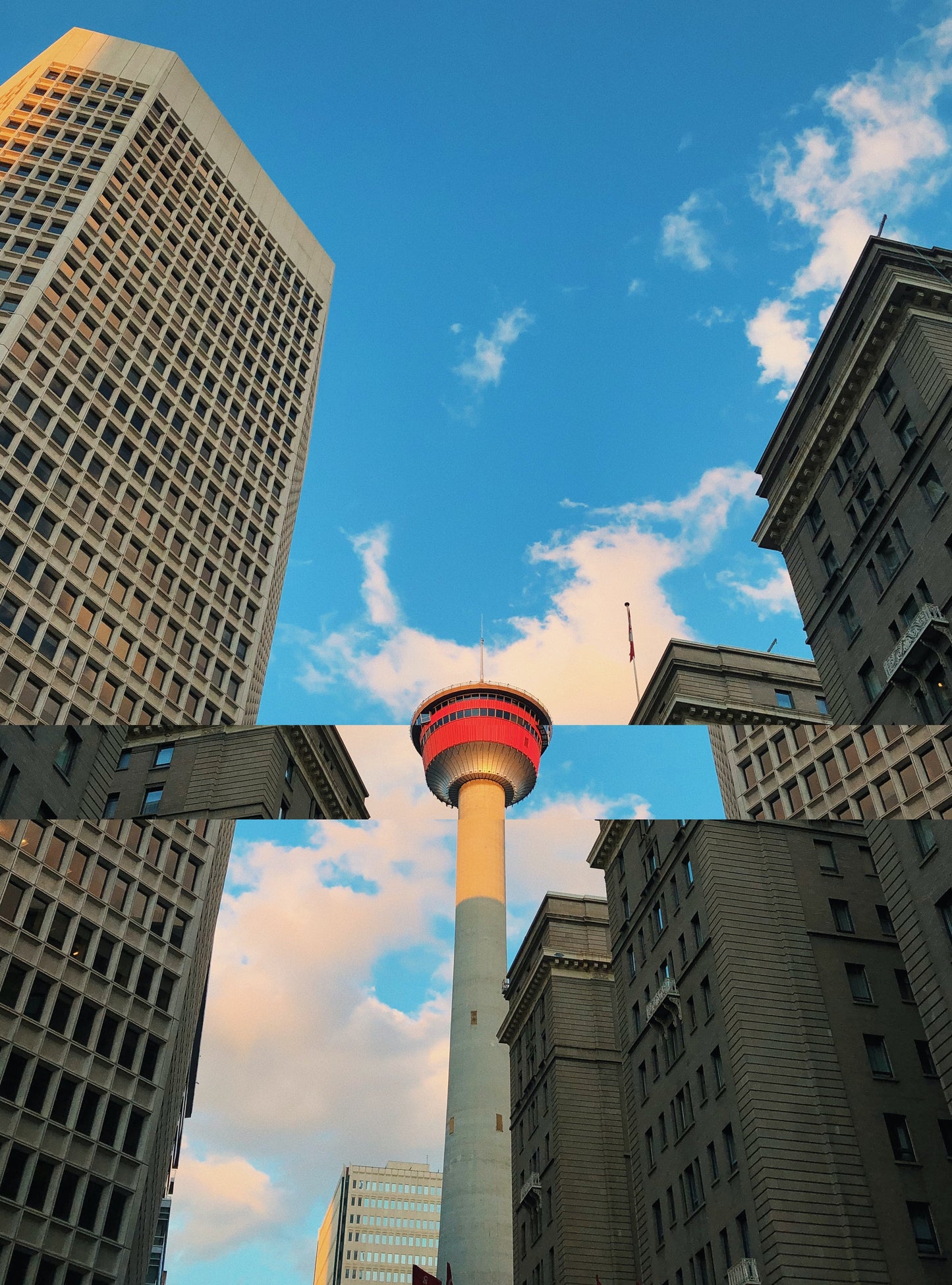 The Calgary Tower