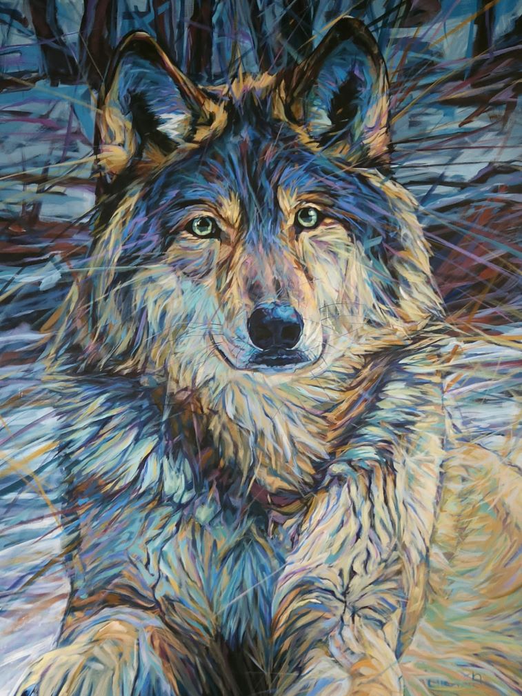 Forest Dweller