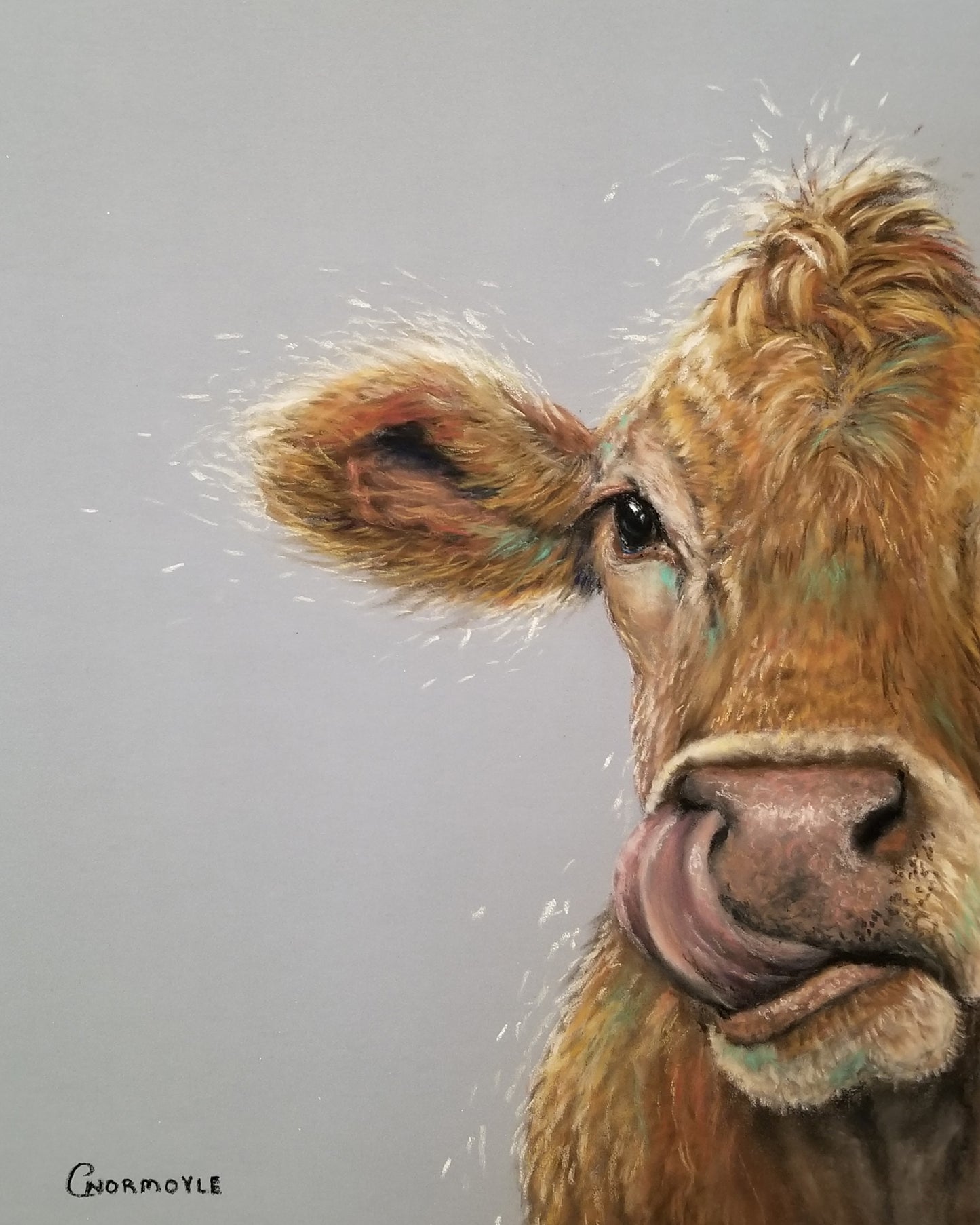 Hungry Cow: Peekaboo Series