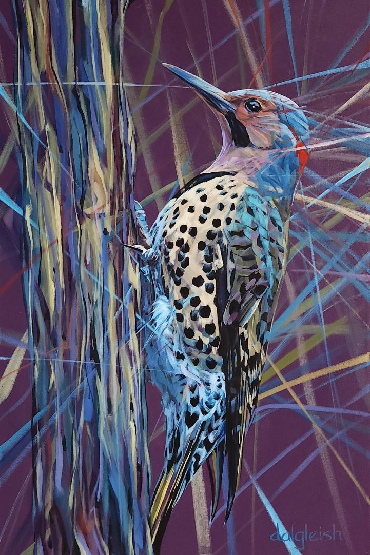 Northern Flicker