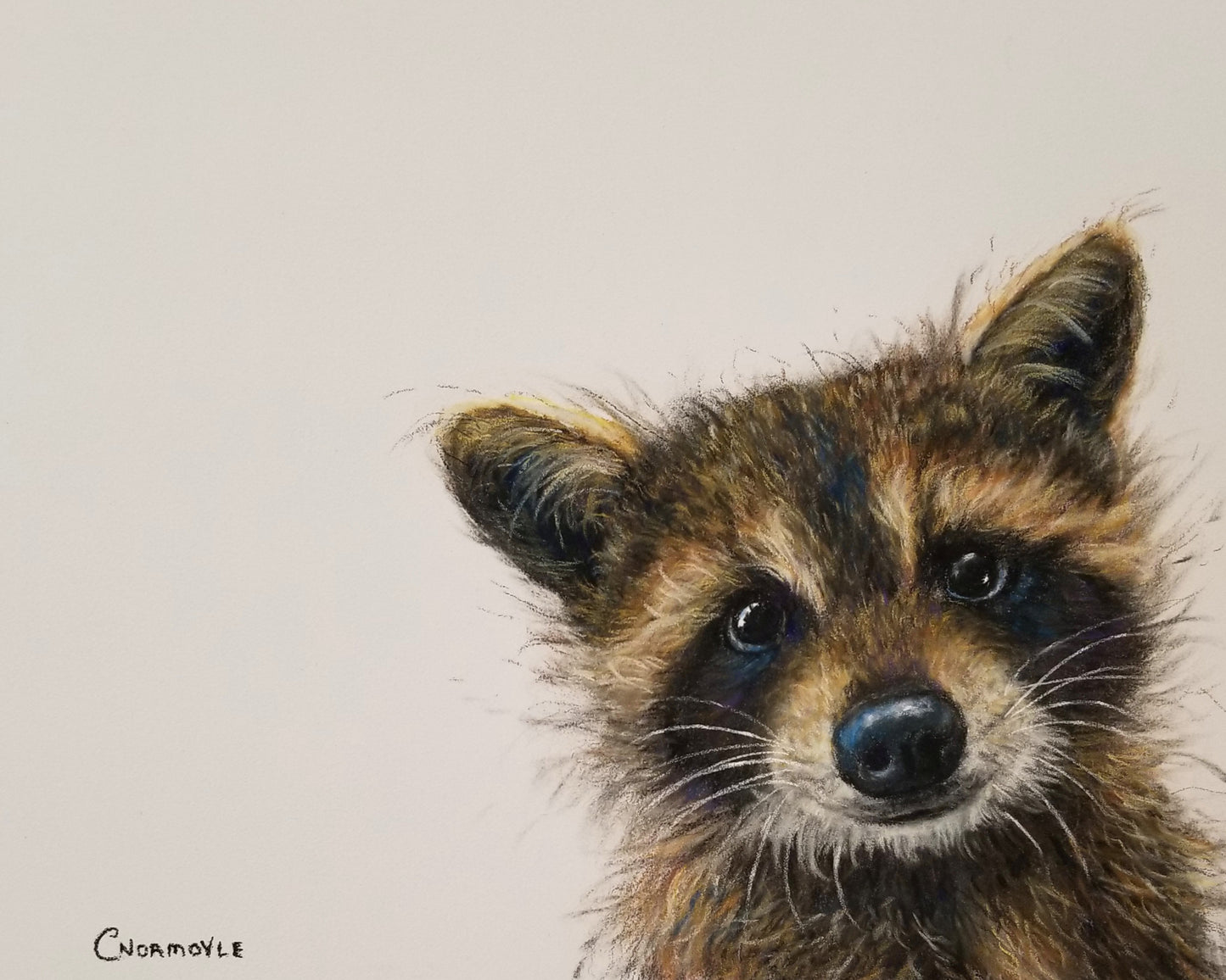 Peekaboo Racoon: Peekaboo Series