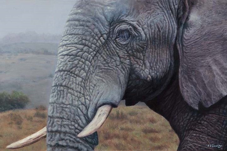 The Elephant