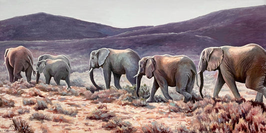 Elephants of Little Karoo