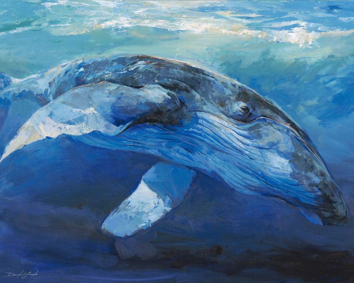 Humpback Whale