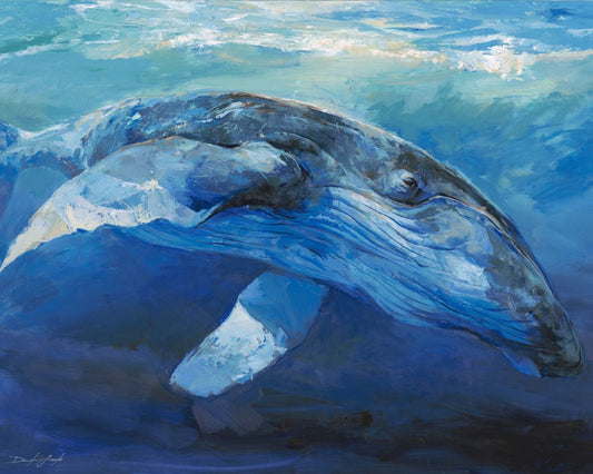 Humpback Whale