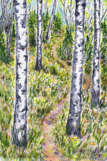 On the Ridge in Summer