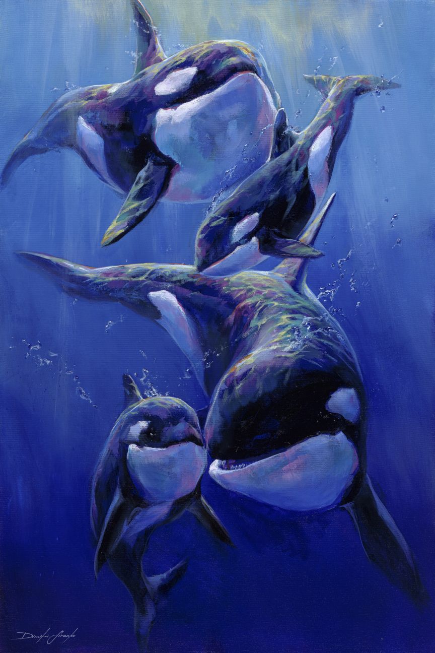 Orca Family