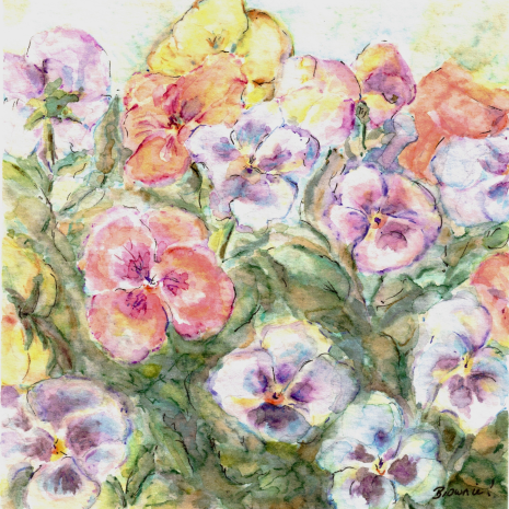 Pining for Pansies