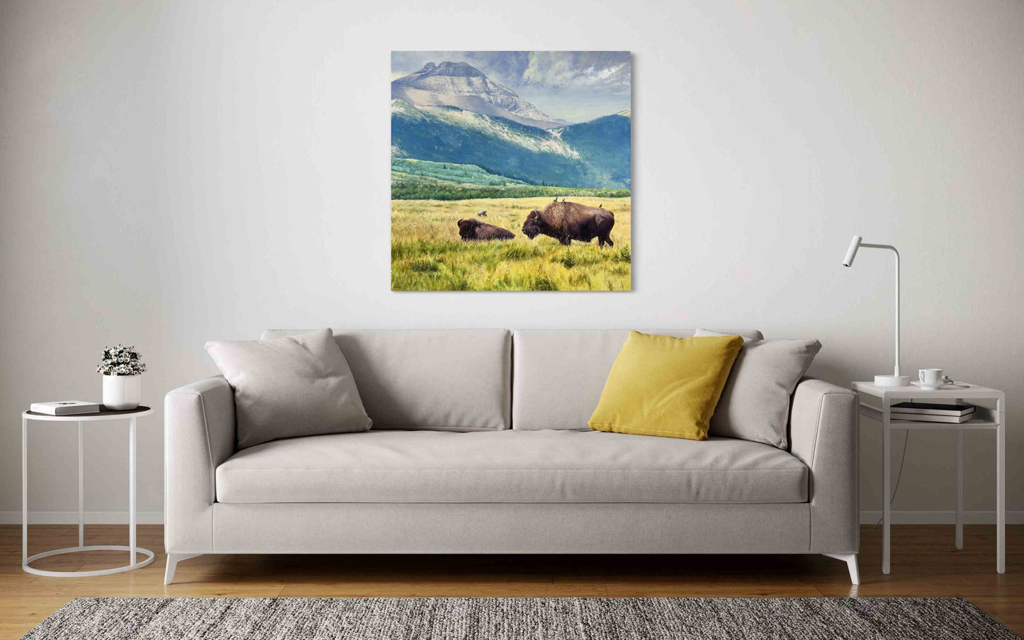 Waterton Bison