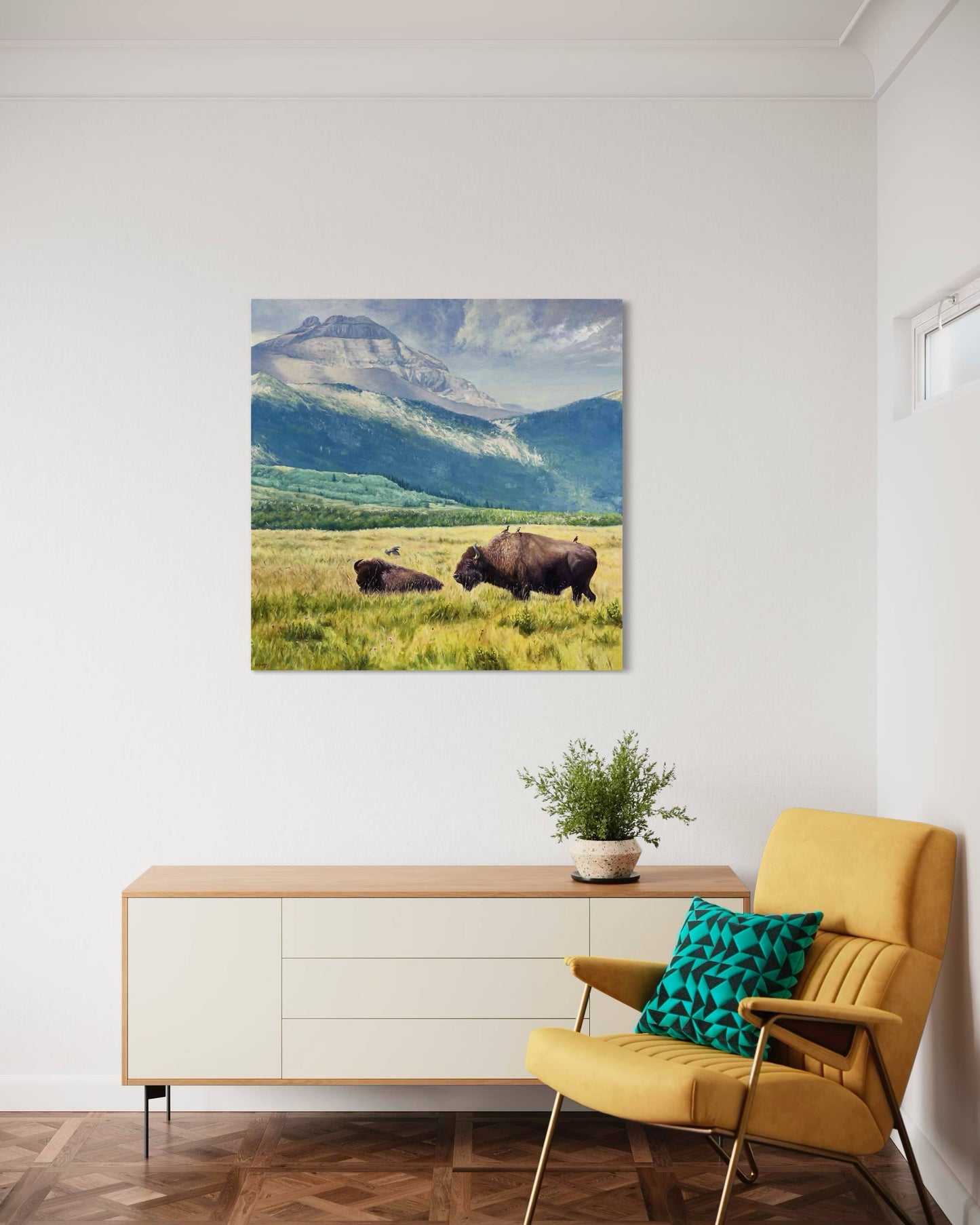 Waterton Bison